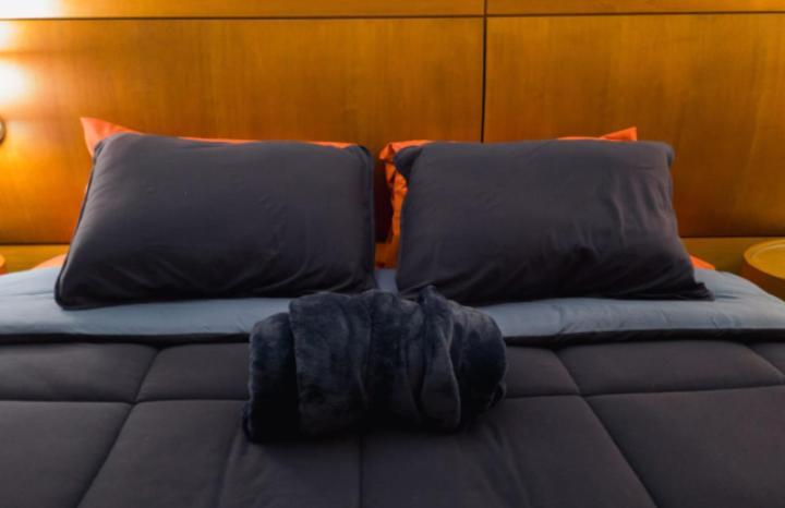 The Best Deluxe - Duplex Studio - Hotel Slav Moema - By Luxxor São Paulo Ngoại thất bức ảnh